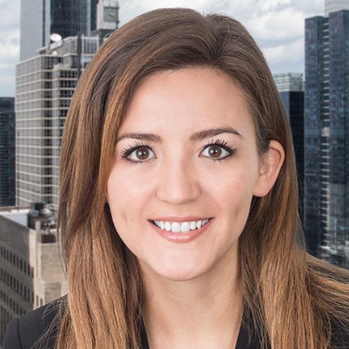 Top Lawyers From Waukegan, IL Dana N. Scott