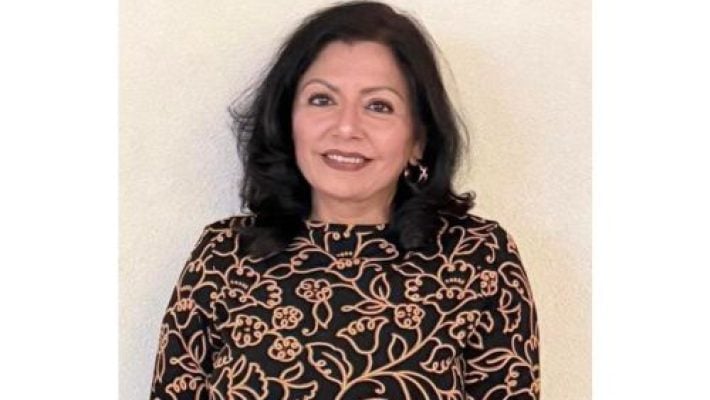 Seema Mehta solo